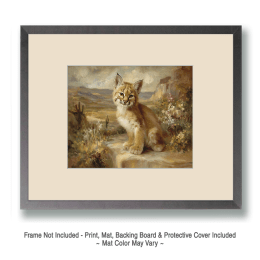 Sonoran Desert Bobcat Kitten Art