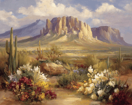 Sonoran Desert Mesa