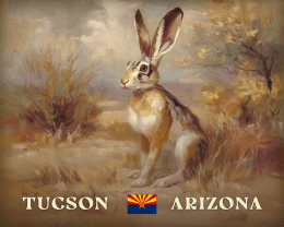 Tucson Desert Jackrabbit