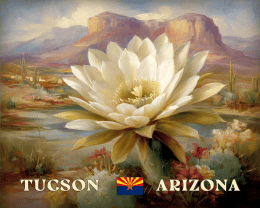 Tucson Desert Flower