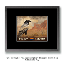 Vintage Tucson Desert Raven Art