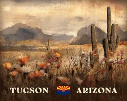 Vintage Tucson Desert Wildflowers