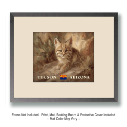 Tucson Desert Bobcat Kitten Art