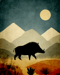 Javaline Boar Evening Walk