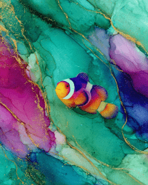 Clown Fish
