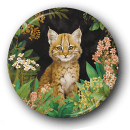 Baby Bobcat - One Inch Pinback Button