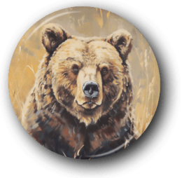 Vintage Bear - One Inch Pinback Button