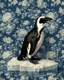 Penguin - Zoo Animal Art