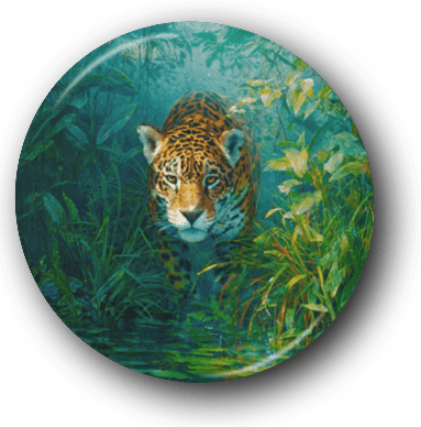 Stalking Leopard - Zoo Animals - One Inch Pinback Button