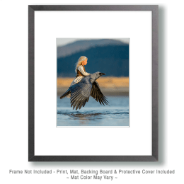 Pixie Riding on a Raven Art