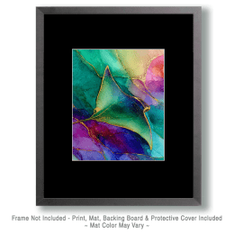 Manta Ray Art