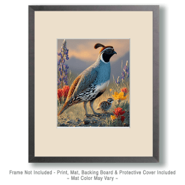 Gambel's Quail with Chick Art