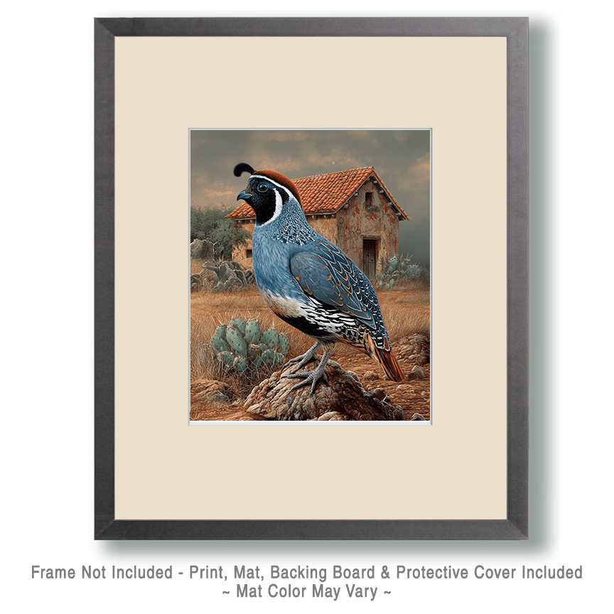 Gambel's Quail Near Adobe House Art
