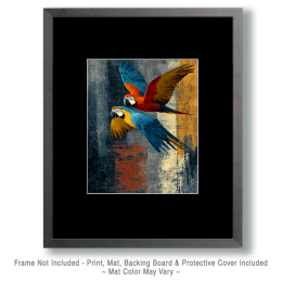 Grunge Macaws - Zoo Animal Artwork