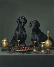 Pair of Posing Great Danes
