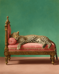 The Leopard on a Pink Chaise Lounge Piece