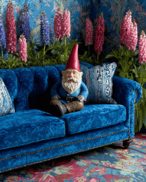Walter on Blue Sofa