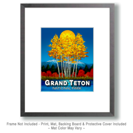 Golden Aspens Art Print