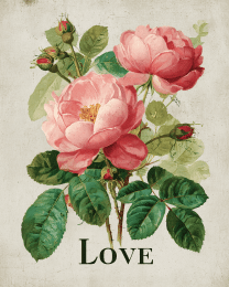 Vintage V-Day Roses