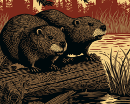 Beavers on a Log Woodcut
