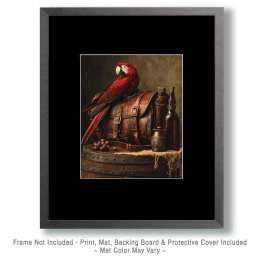 Macaw Parrot Hoping to Go Along Art