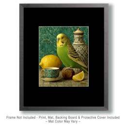 Green Budgie Parakeet Still-Life Art