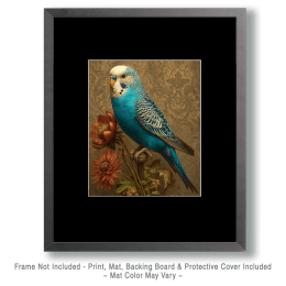 Blue Budgie Parakeet Nouveau Still-Life Art