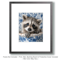 Baby Raccoon in a Bathtub Art