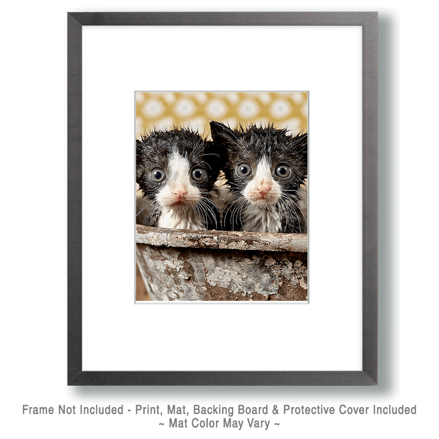 Two Very Unhappy Wet Kitties in a Bathtub Art