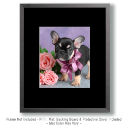 The Cutest French Bulldog Puppy Art
