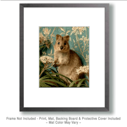 Quokka Still Life Art
