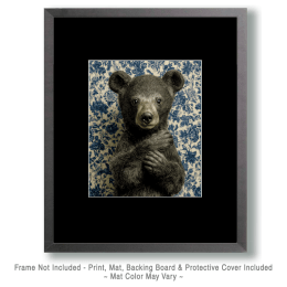 Shy Baby Black Bear Art