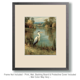 Naturalist Great Blue Heron Art