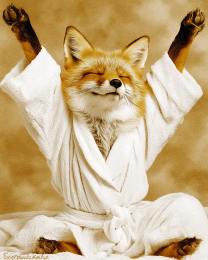 Red Fox Morning Stretch