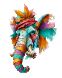 Crazy Elephant Smoking a Marijuana Joint