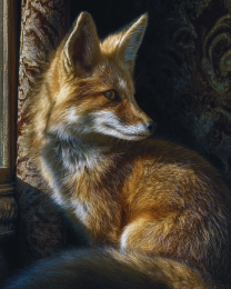 Red Fox Relaxing in Chair