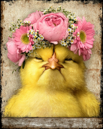 Chicken Chick with Pink Flower Crown