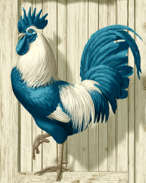 Blue and White Rooster