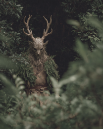Shy Wendigo