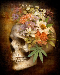 Skull with Flower and Marijuana Leaf Headress