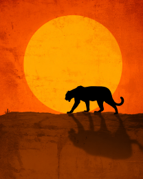 Stalking Mountain Lion