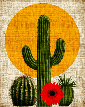 Minimalist Desert Still-Life