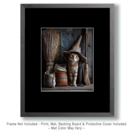 Witchy Kitty Still-Life Art