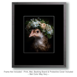 Chicken with Flower Crown Art