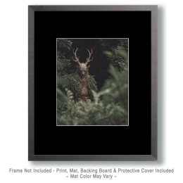 Shy Wendigo Art