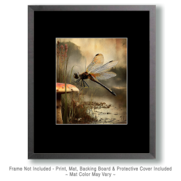 Dragonfly Pondside Art