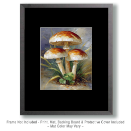 Naturalism Mushroom Still-Life Art