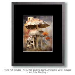 Adobe, Shrooms & Skull Still-Life Art