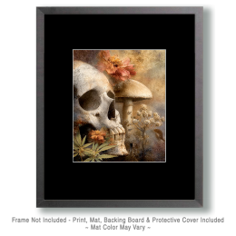 Skull Looking Ahead Art