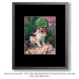 Desert Ground Squirrel Art